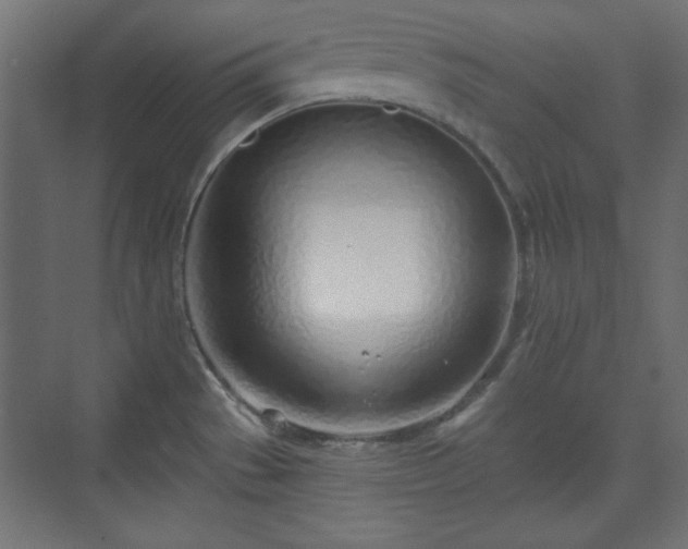 X0000073991529200608281301