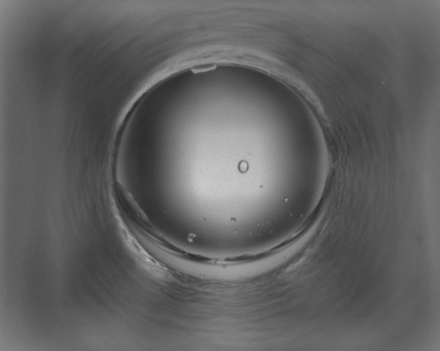 X0000073991530200608281301