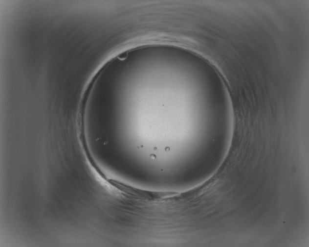 X0000073991531200608281301