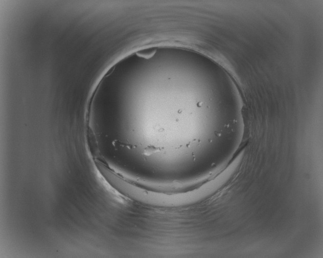 X0000073991532200608281301