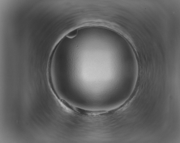 X0000073991533200608281301