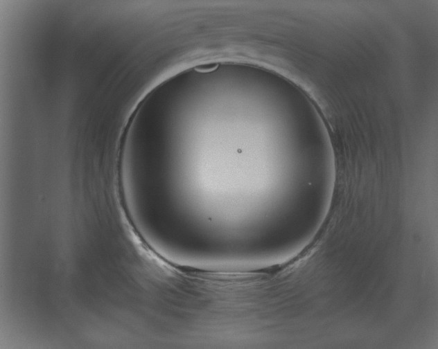 X0000073991534200608281301