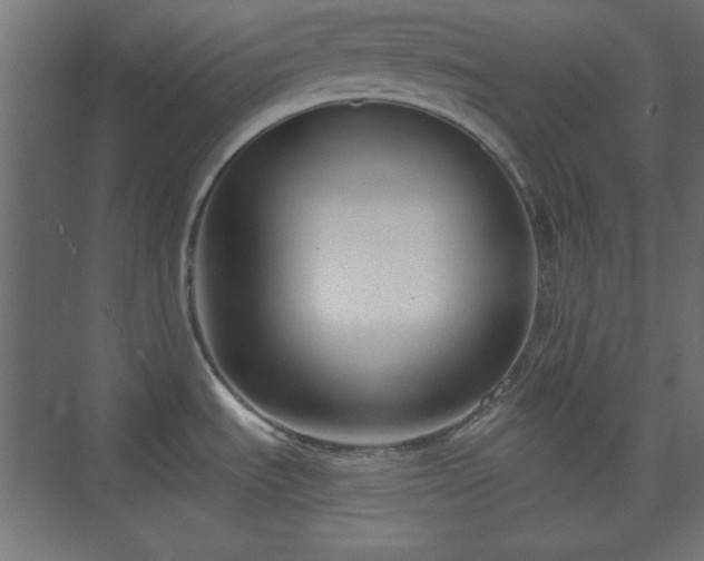 X0000073991535200608281301