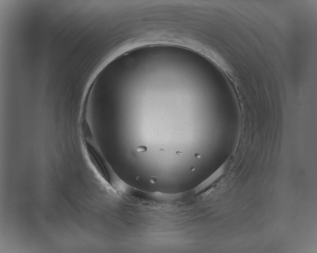 X0000073991536200608281301