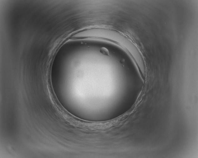 X0000073990001200609061010