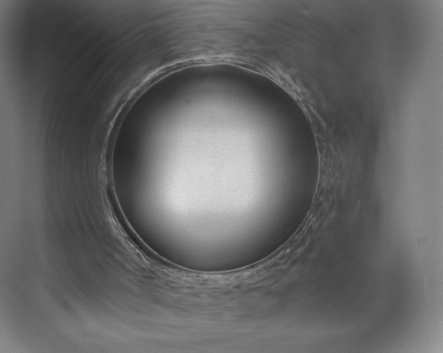 X0000073990002200609061010