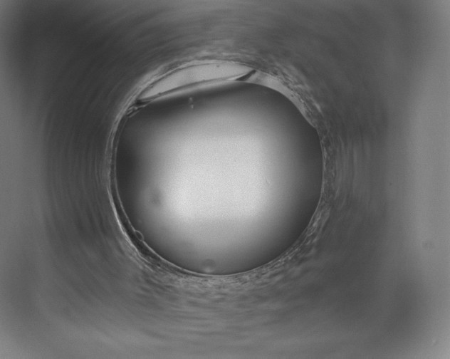 X0000073990003200609061010