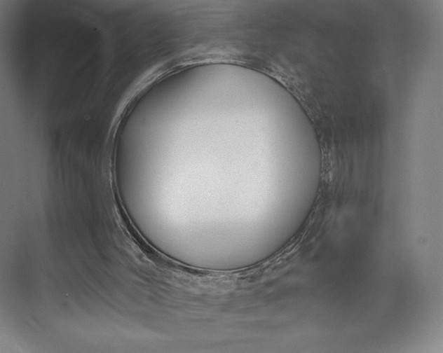 X0000073990004200609061010