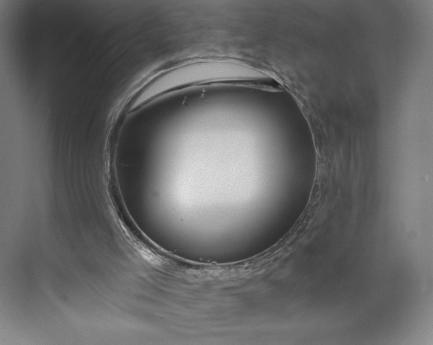 X0000073990005200609061010