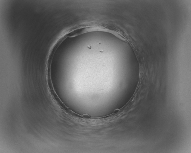 X0000073990006200609061010