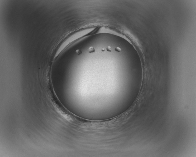 X0000073990009200609061009