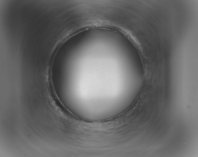 X0000073990010200609061009