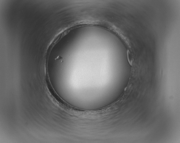 X0000073990011200609061009