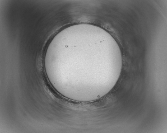 X0000073990012200609061009