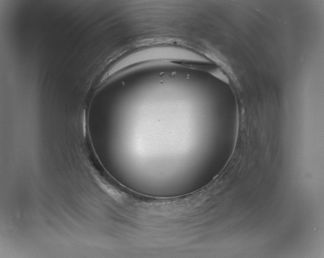 X0000073990013200609061009