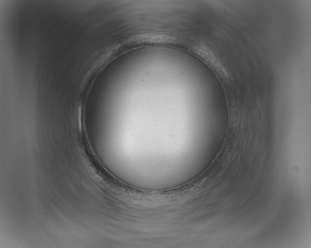 X0000073990014200609061009