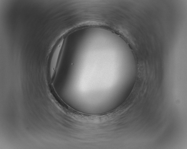 X0000073990015200609061009