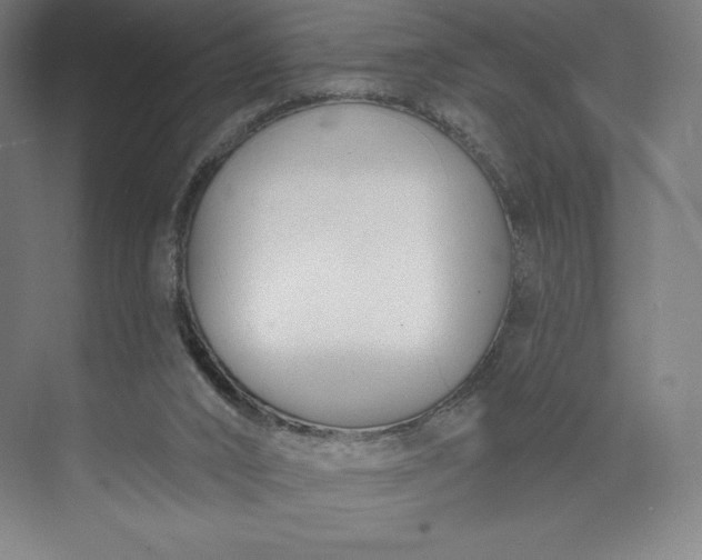 X0000073990016200609061009