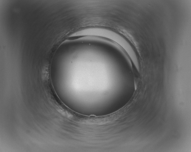 X0000073990017200609061009