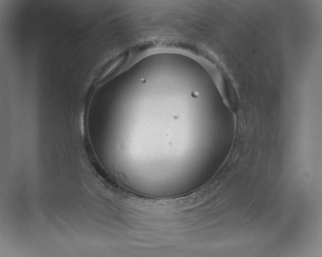 X0000073990019200609061009