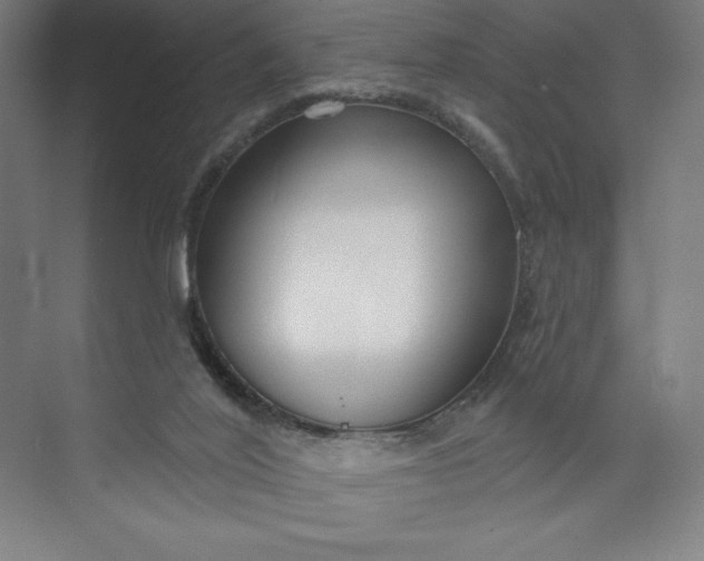 X0000073990020200609061009