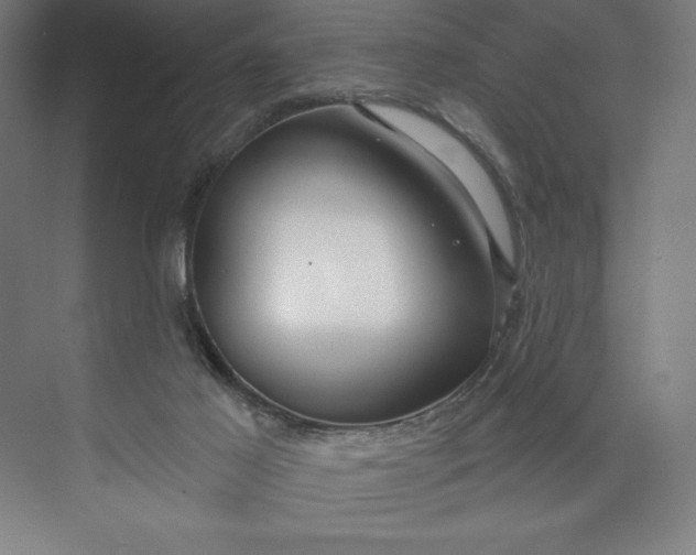 X0000073990021200609061009