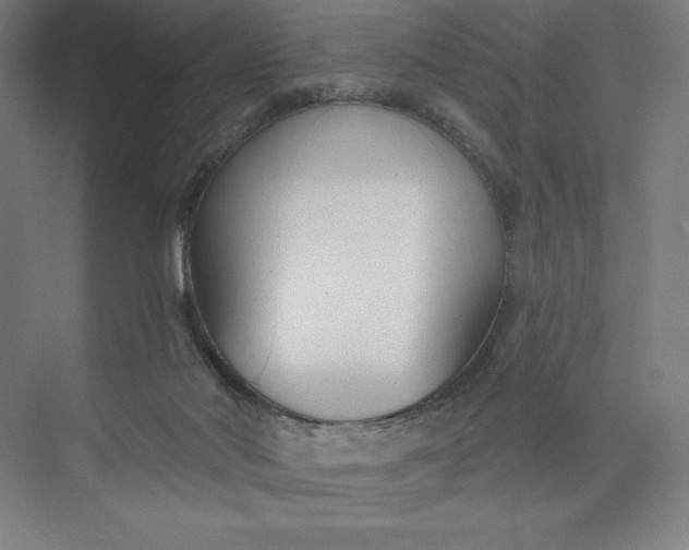 X0000073990022200609061009