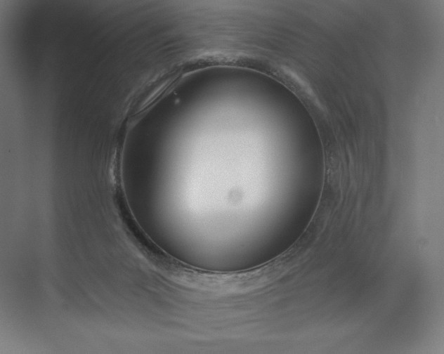 X0000073990023200609061009