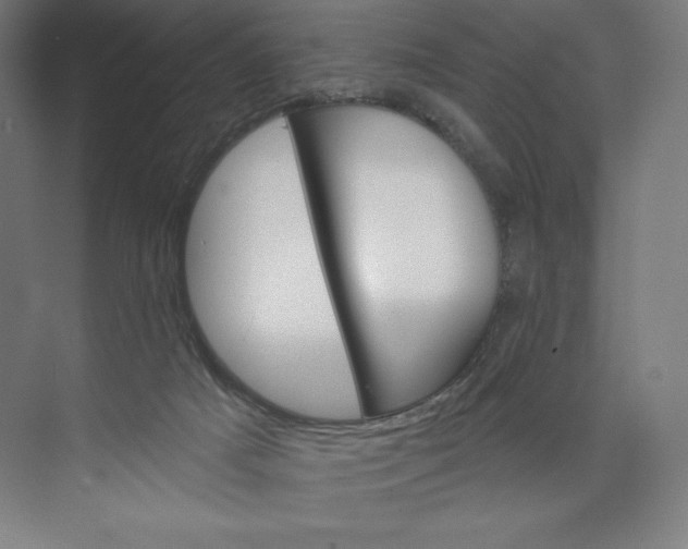 X0000073990025200609061009