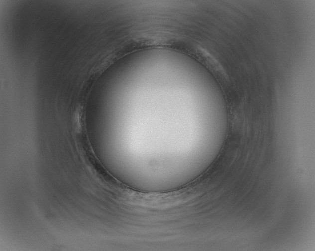 X0000073990026200609061009