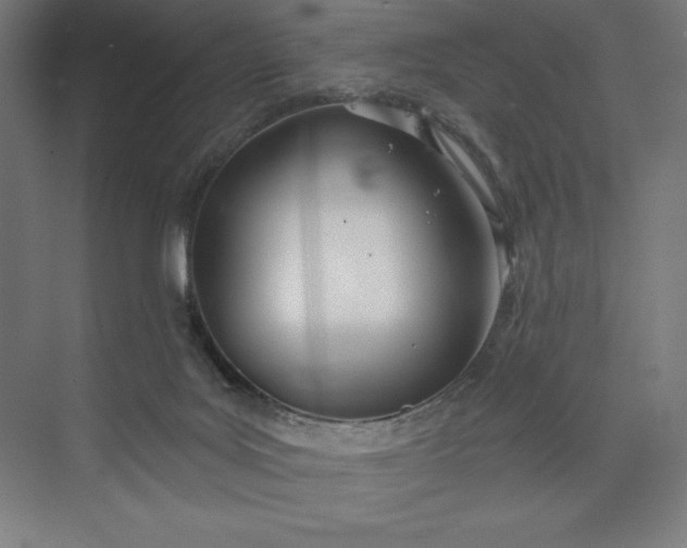 X0000073990027200609061009