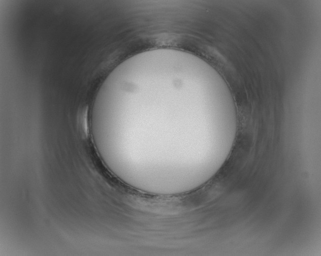 X0000073990028200609061009