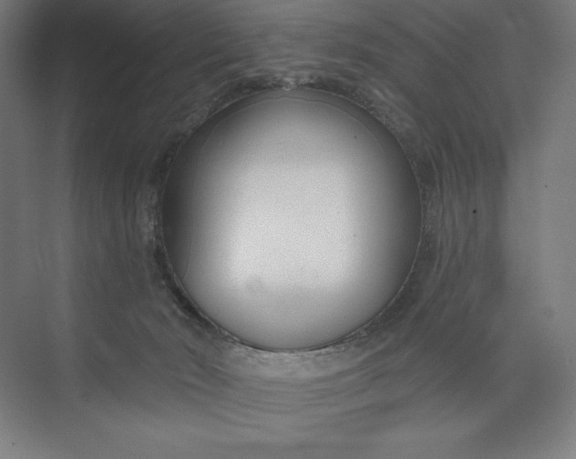 X0000073990030200609061009