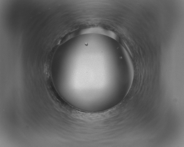 X0000073990031200609061009