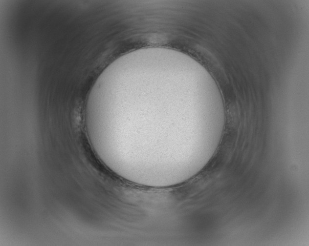 X0000073990032200609061009