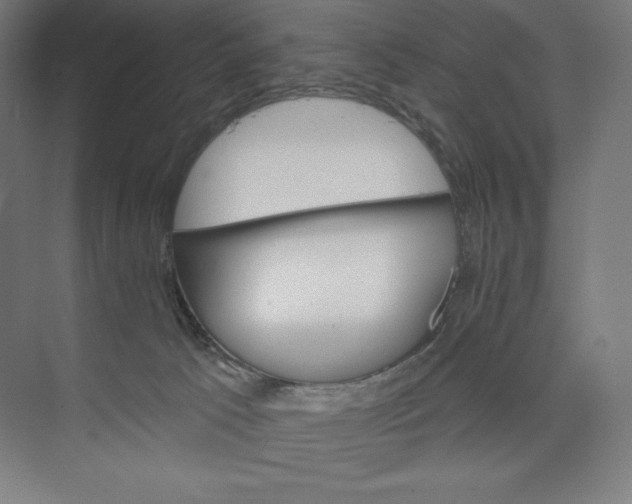 X0000073990033200609061009