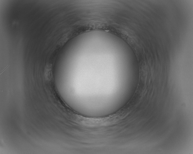 X0000073990034200609061009