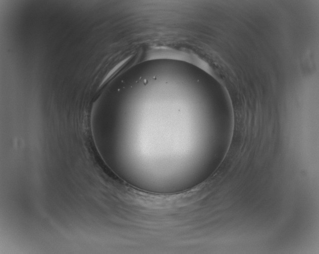 X0000073990035200609061009