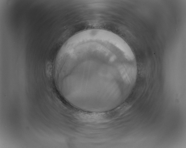 X0000073990036200609061009