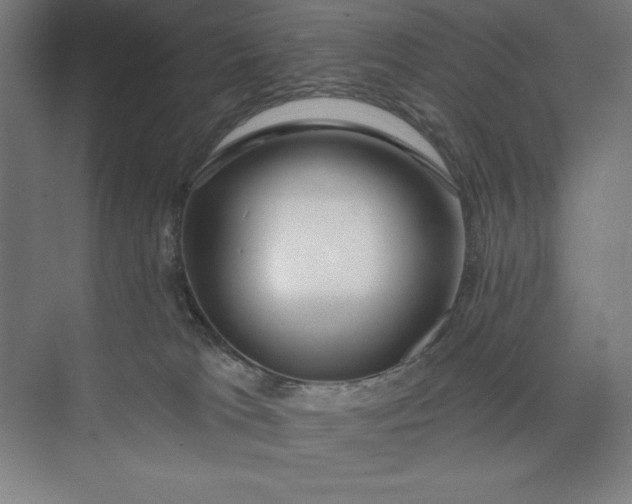 X0000073990037200609061009