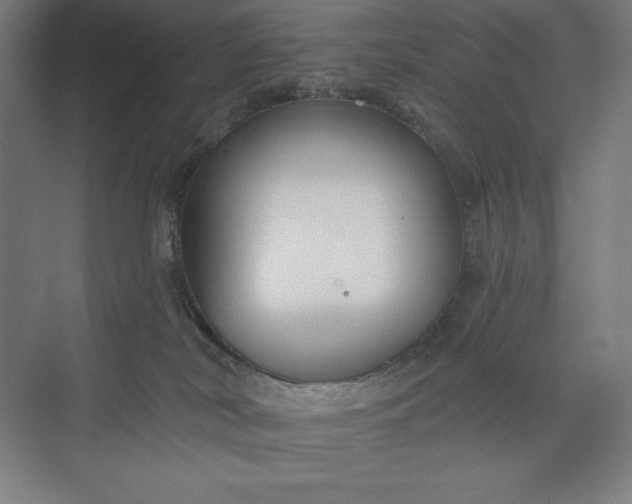 X0000073990038200609061009