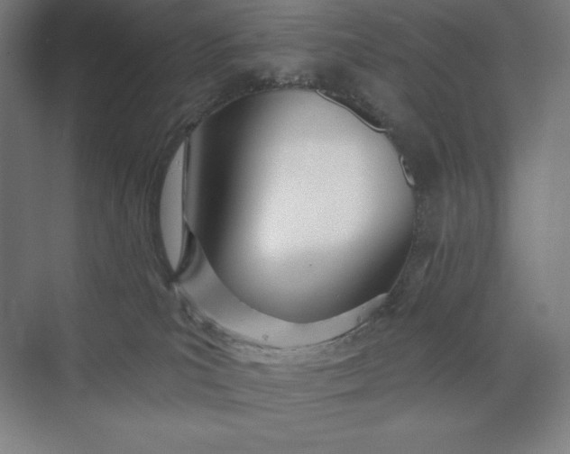 X0000073990039200609061009