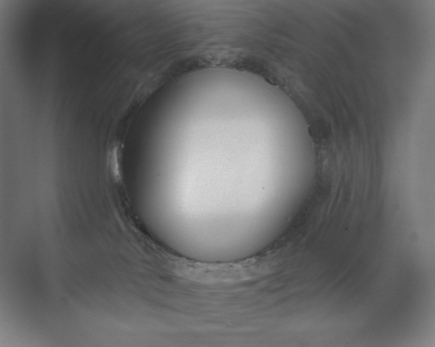 X0000073990042200609061009