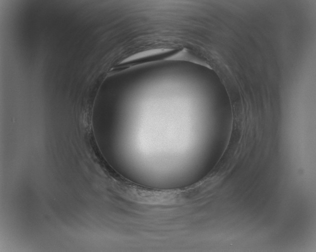 X0000073990044200609061009