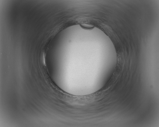 X0000073990046200609061009