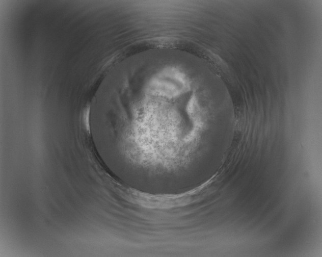 X0000073990047200609061009