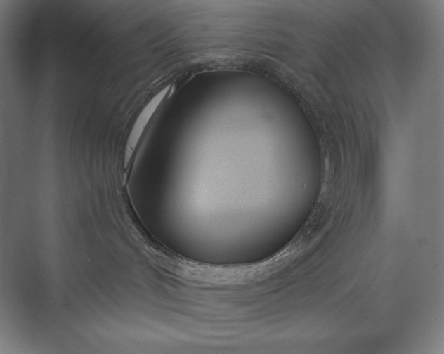 X0000073990048200609061009