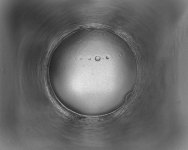 X0000073990049200609061008