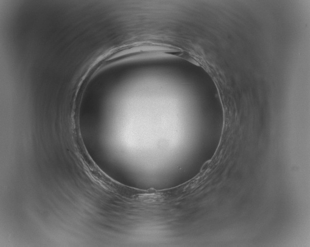 X0000073990050200609061008