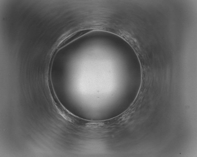 X0000073990051200609061008